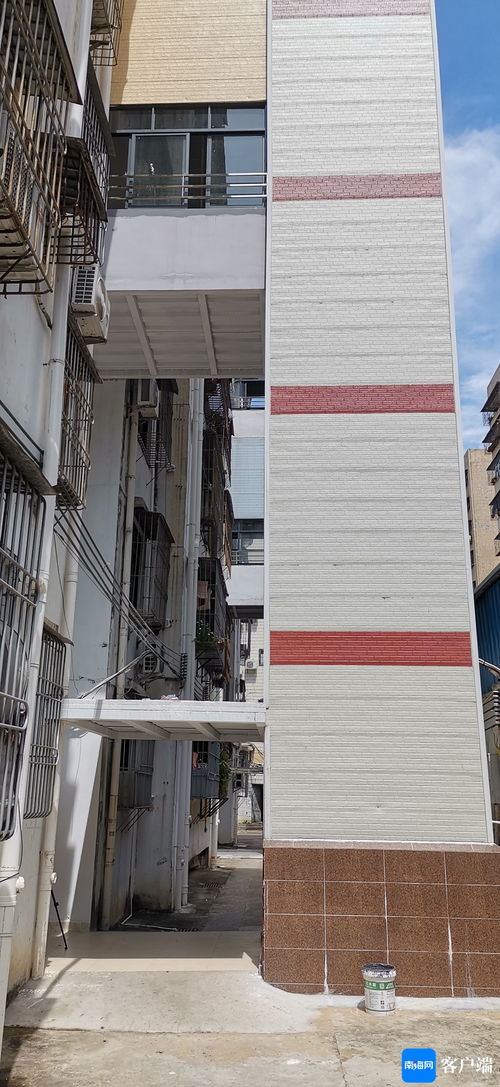 海口秀英區多措并舉支持舊改，讓“三無”小區煥發新生機