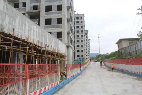 白泉休閑健身公園與赭山山體公園建設進展 人居環境再升級，城市綠肺煥新生